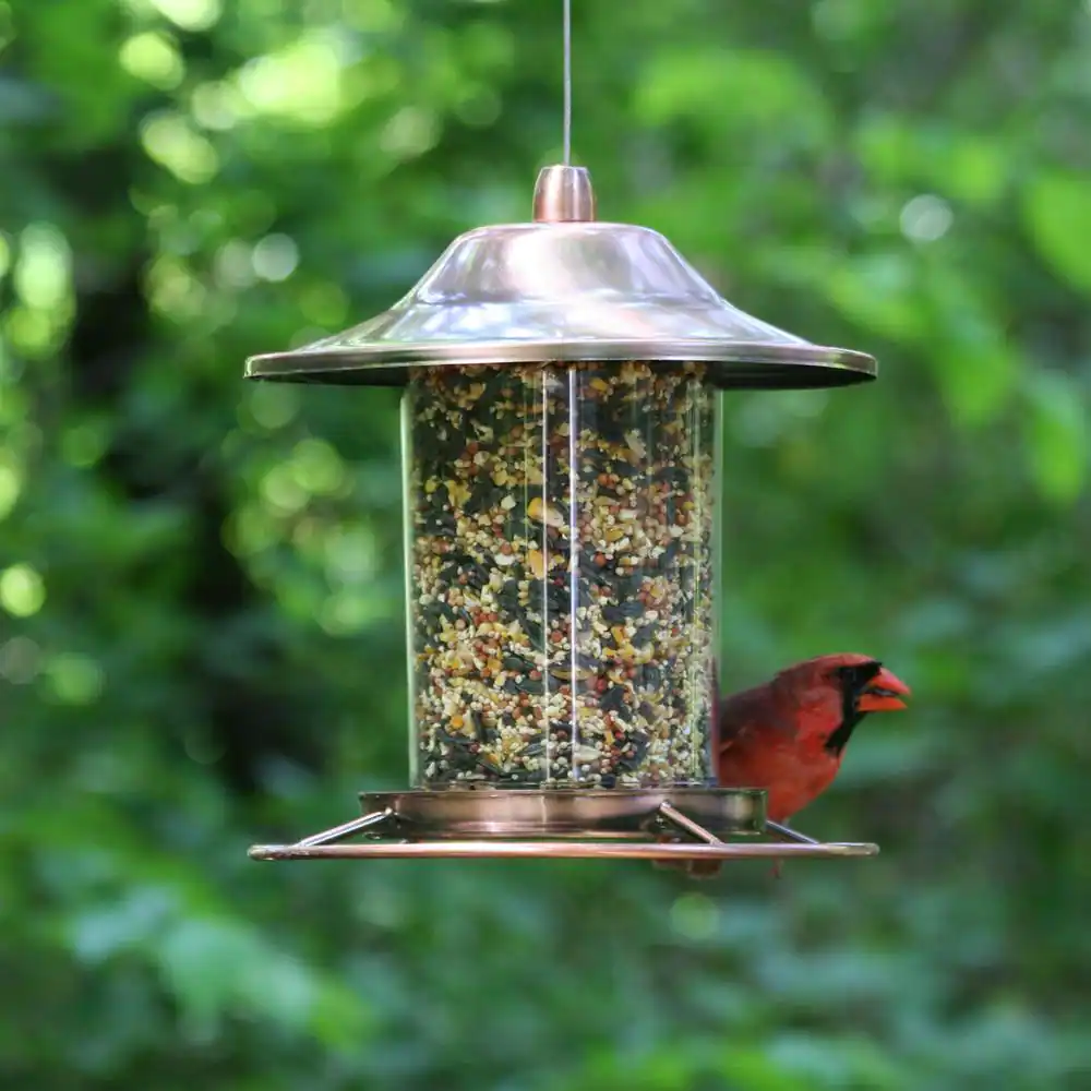 Perky-Pet Antique Copper Rust-Resistant Panorama Hanging Wild Bird Feeder - 2 lb. Capacity