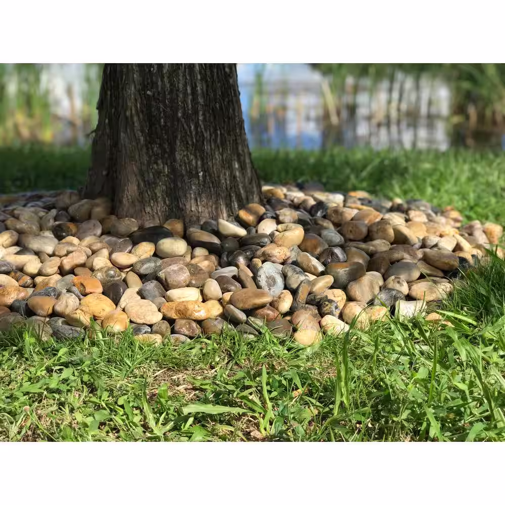 Rain Forest 1 cm 20 lb. Mini Mixed Grade A Polished Pebbles