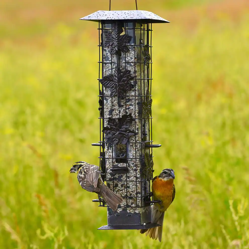 Perky-Pet Squirrel-Be-Gone Squirrel-Resistant Metal Durable WildÂ Bird Feeder - 2 lb. Capacity