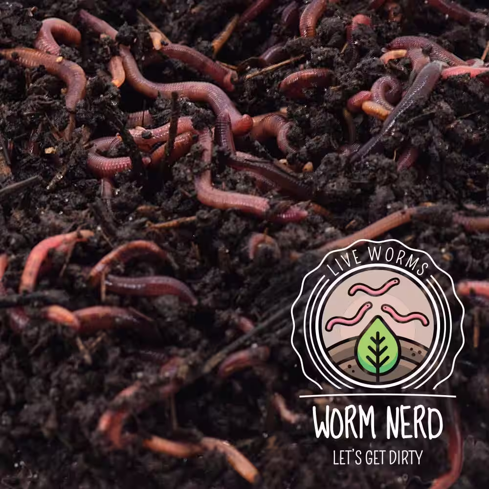 Arcadia Garden Products Worm Nerd Live Composting Worm Mix (500 Worms)