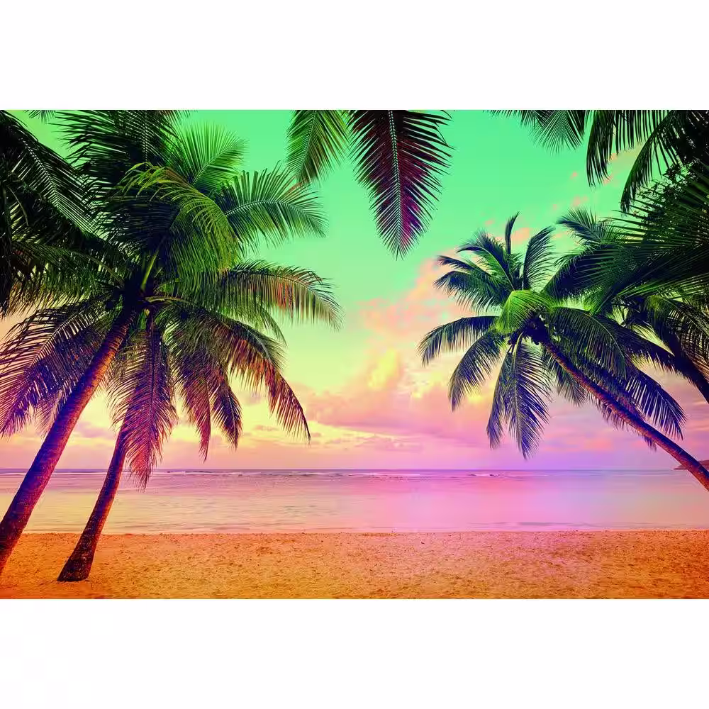 Komar 100 in. H x 145 in. W Miami Wall Mural
