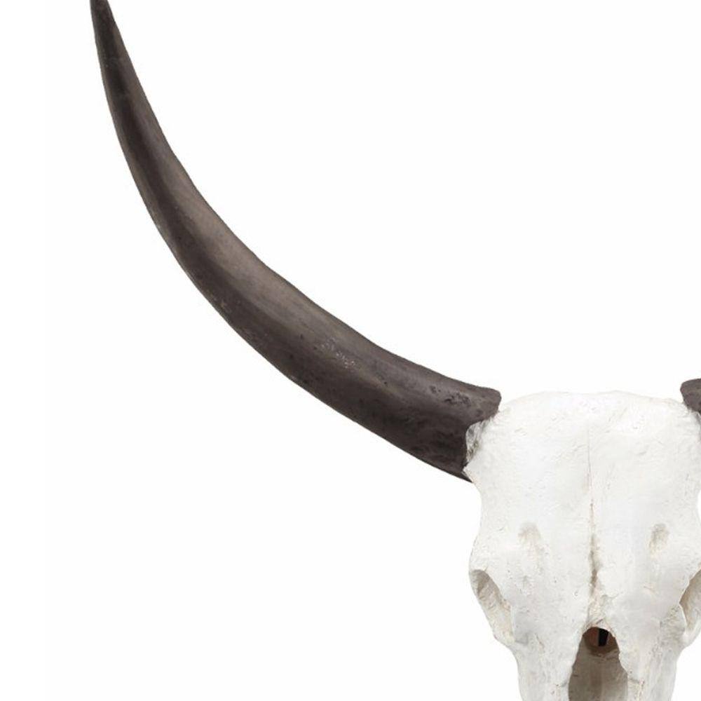 Benjara Brown and White Wild and Beautiful Cow Skull