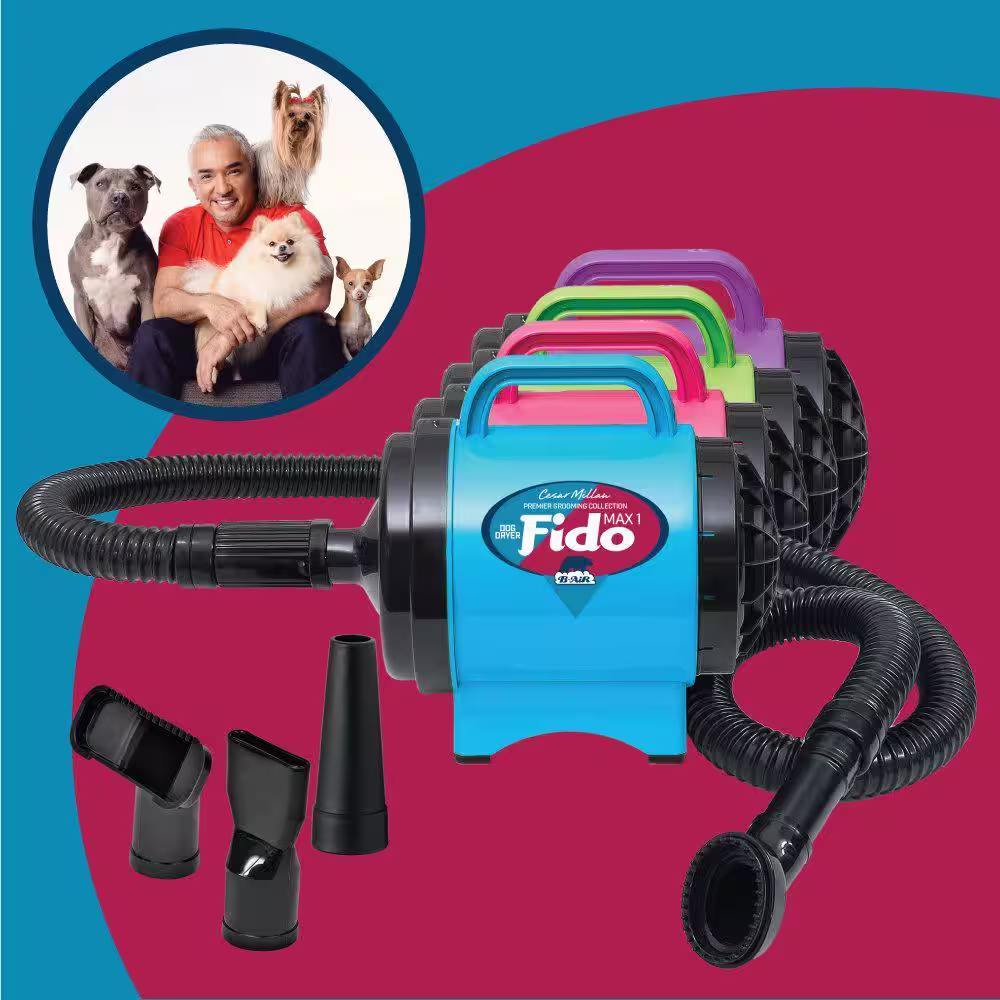 B-Air Cesar Millan Collection 2 HP Fido Max 1 Pet Grooming Dog Dryer, Lime Green