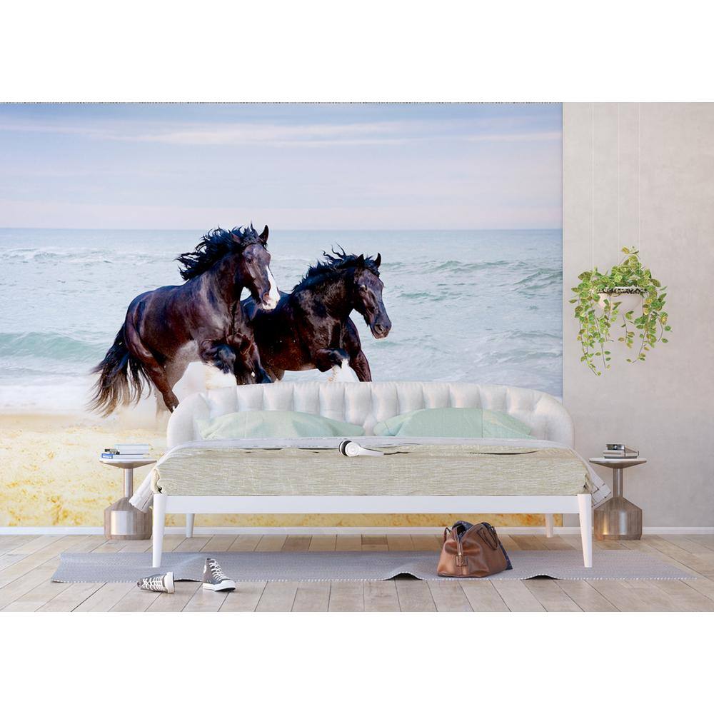 Dundee Deco Falkirk Airdrie Horse Modern Wall Mural